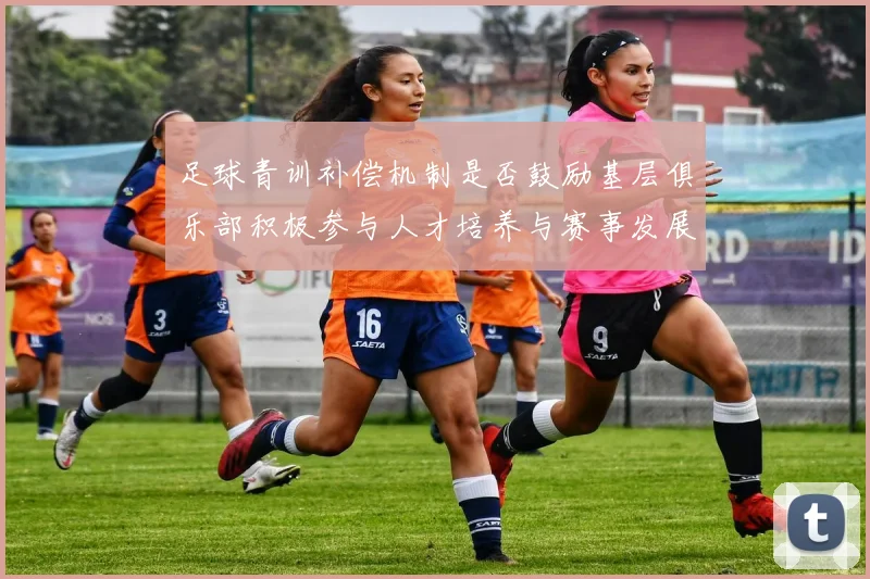 足球青训补偿机制是否鼓励基层俱乐部积极参与人才培养与赛事发展