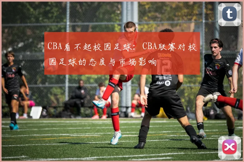 CBA看不起校园足球：CBA联赛对校园足球的态度与市场影响